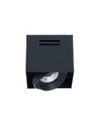 Matisse Junior 2K-1L